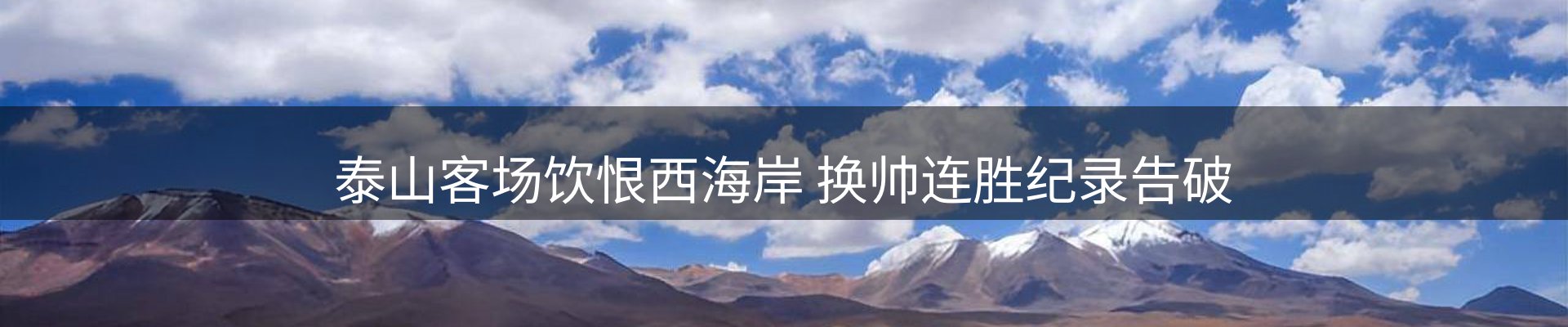 网站资讯