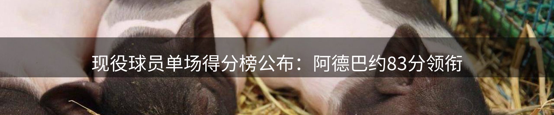 资讯汇集