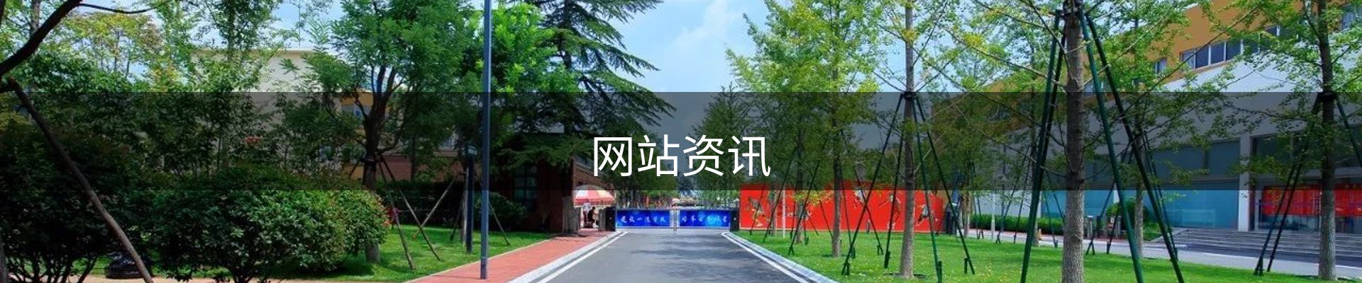 网站资讯