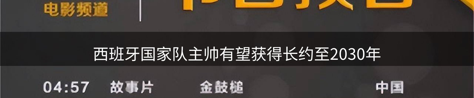 网站资讯