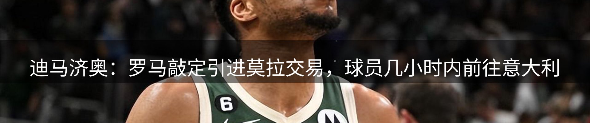 网站资讯